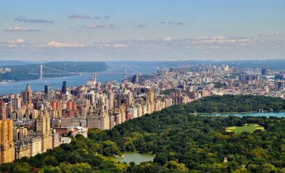 New York Ecologica